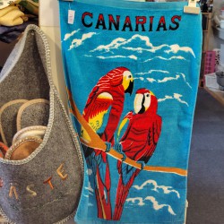 IMG_20251006_101553997